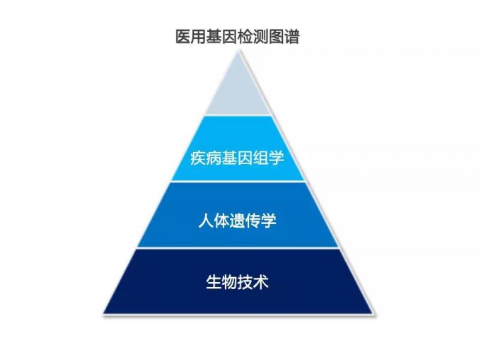 基因检测